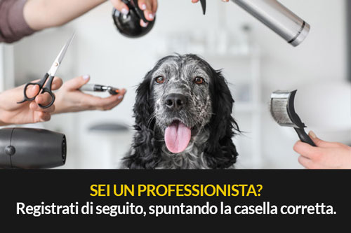 toelettatore-professionista.jpg