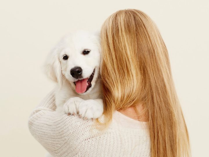 ¿Nuevo cachorro en casa? Checklist de lo que no puede faltarte