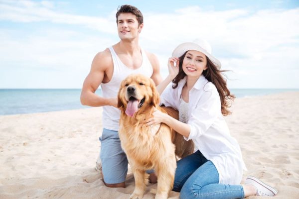 Beach vacations with your dog