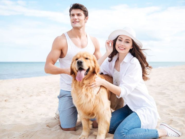 Sole, mare e vento: in spiaggia con il cane