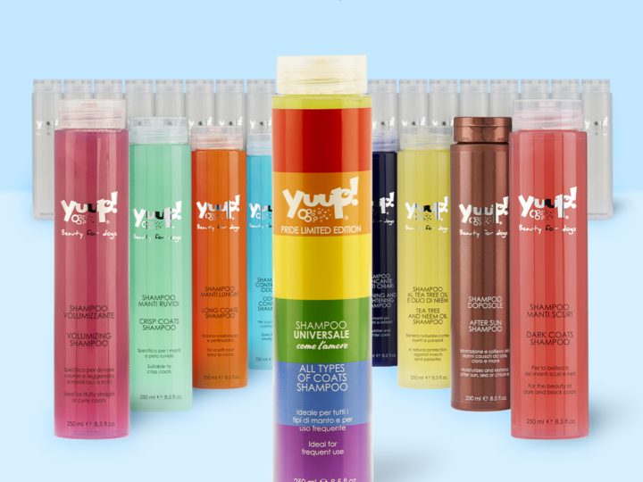 Uno shampoo Pride: universale come l’amore per i diritti LGBT