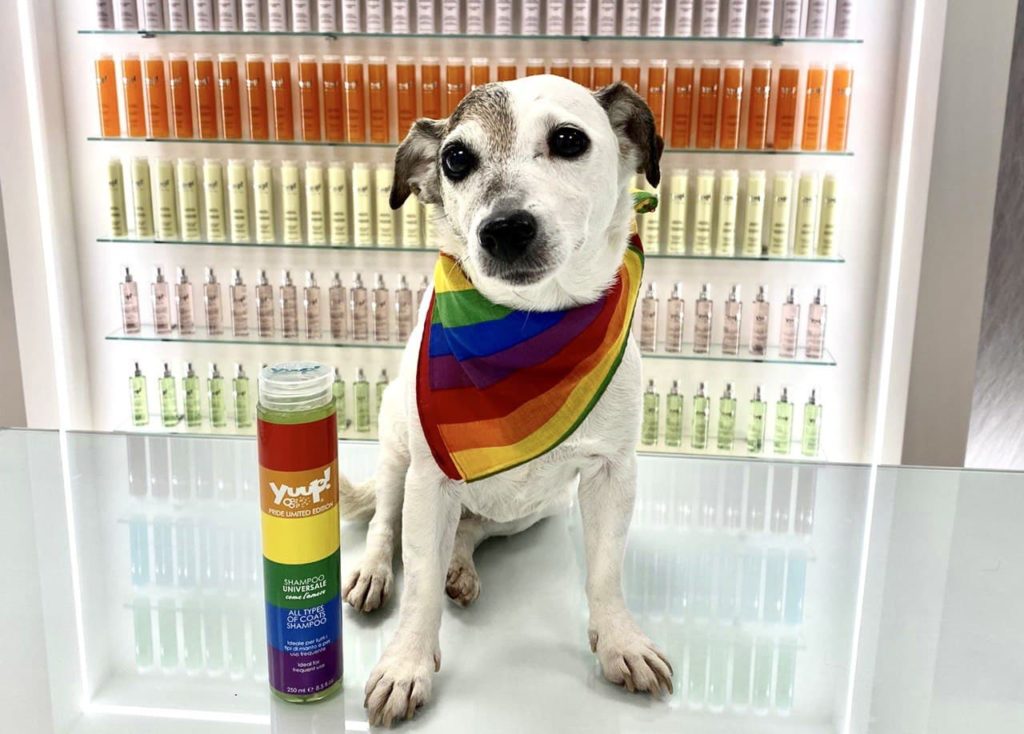 Shampoo per cani pride