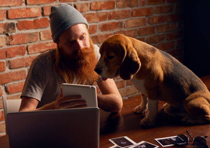 Come fotografare cani e gatti: tutti i segreti per influencer, toelettatori e negozi di animali.