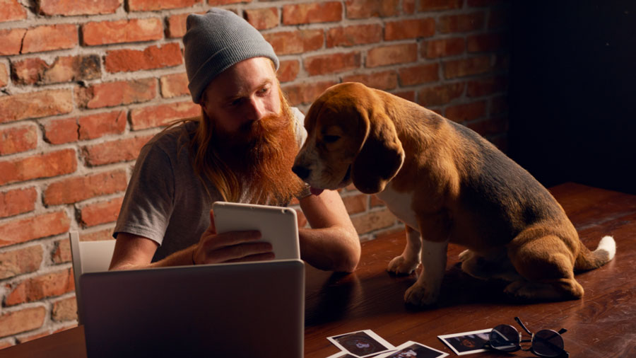 come fotografare cani e gatti