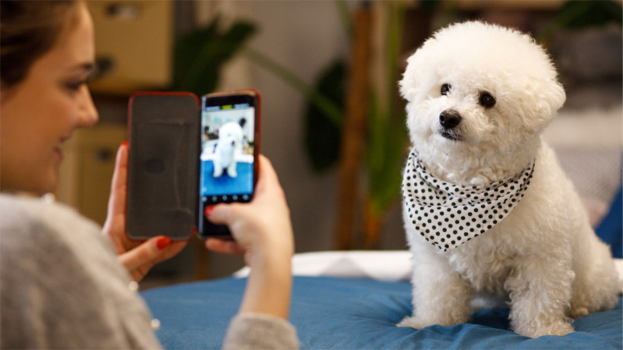 fotografare cani con lo smartphone