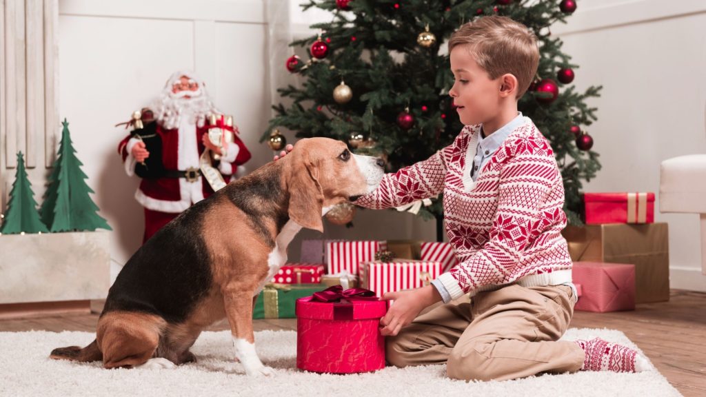 regali di natale per cani