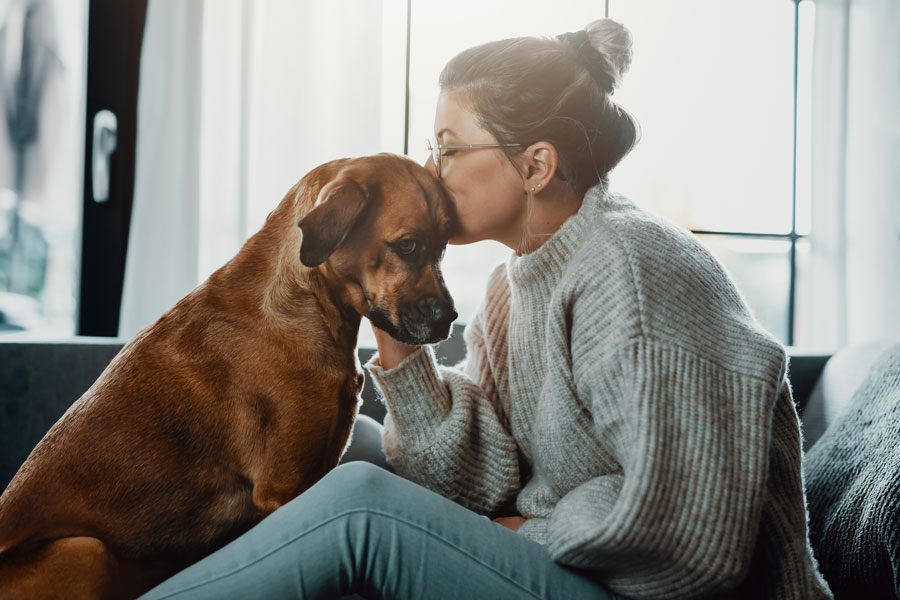 Cane con padrona che gli fa le coccole