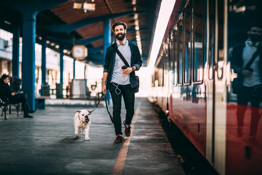 un bulldog blanco y su dueño caminando, uno al lado del otro, por el andén dentro de una estación de tren