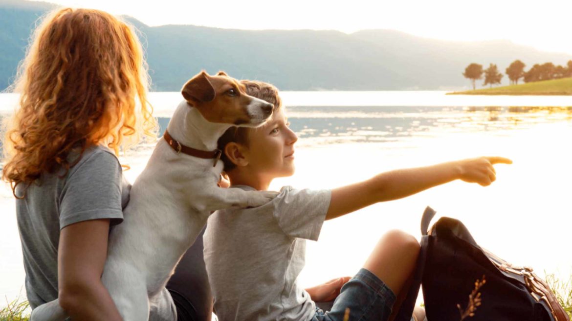 un uomo, una donna, una bambina ed un cane di pastore tedesco corrono felici in spiaggia nel lungomare