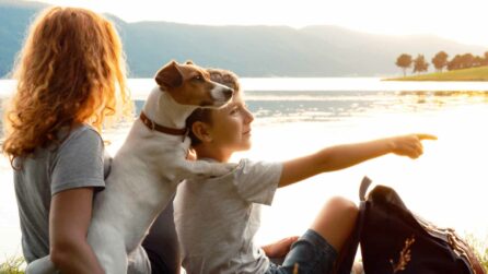 Una donna, un bambino ed un cane di piccola taglia sono seduti in riva ad uno specchio d'acqua. La donna è rivolta di spalle, mentre il cane è appoggiato con le zampe anteriori sulle spalle del bambino, che sta facendo un gesto con il braccio destro come per indicare qualcosa.