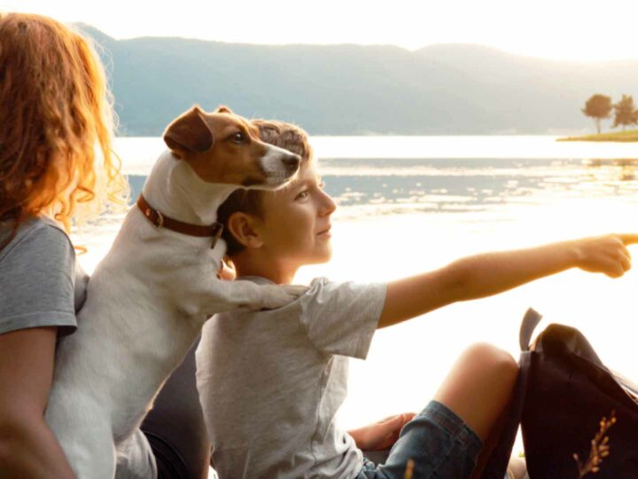 Le 10 regole per una vacanza perfetta con il tuo cane