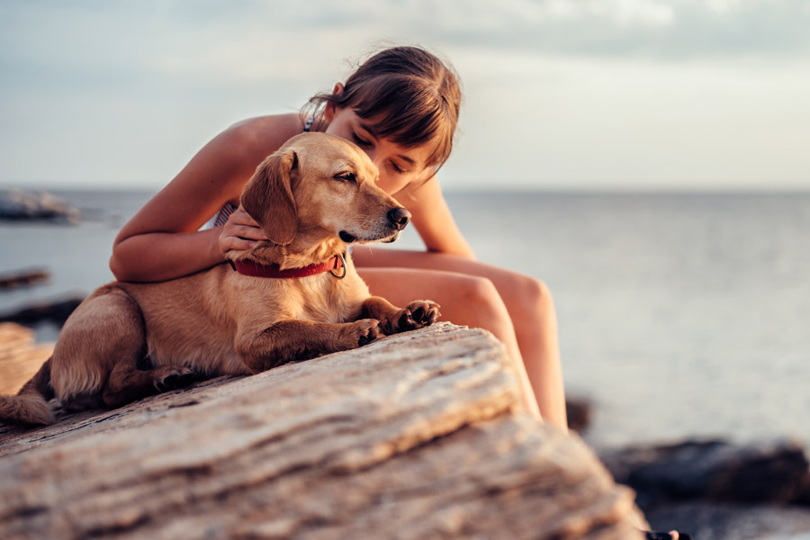 A little girl is sitting on a rock by the sea while giving a kiss to her dog