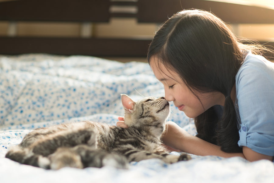 Bambina e gatto sono distesi sul letto con i nasi a contatto