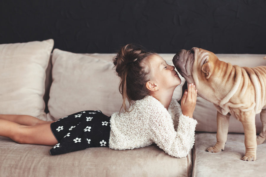 Little girl and dog are lying on the sofa with their faces touching