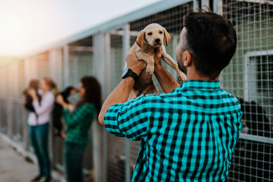 Un hombre recoge un perro de tamaño pequeño dentro de una perrera.