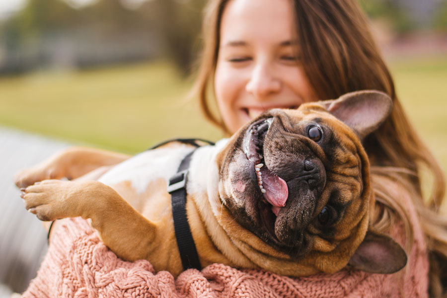 Small-sized dog is lying belly-up in a girl's arms. The animal has a very happy and amused expression.