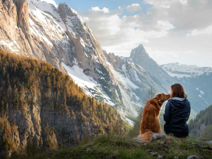 Hacer senderismo en la montaña con el perro