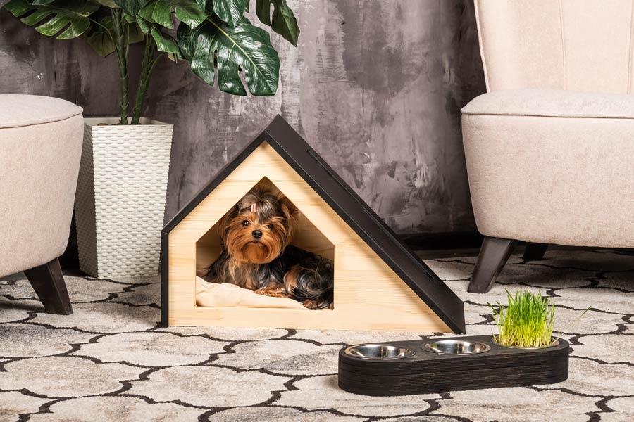 Small-sized dog sitting inside his doghouse in the home living room