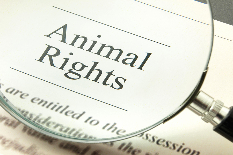 diritti degli animali in Italia