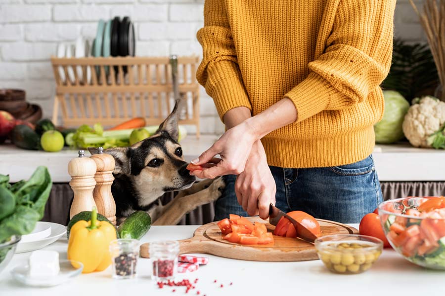 Donna in cucina taglia della verdura e porge una fetta di pomodoro al proprio cane, seduto a ridosso del tavolo