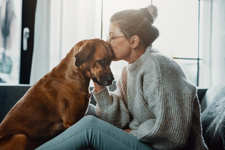 Donna bacia sulla testa un cane di grossa taglia con sguardo triste