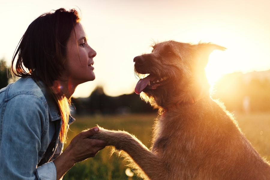 A girl holds the dog through his paws