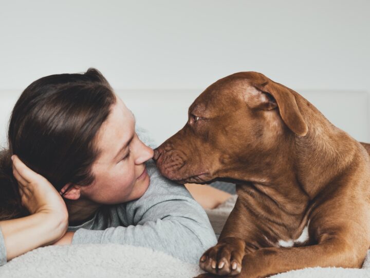 Il linguaggio del cane