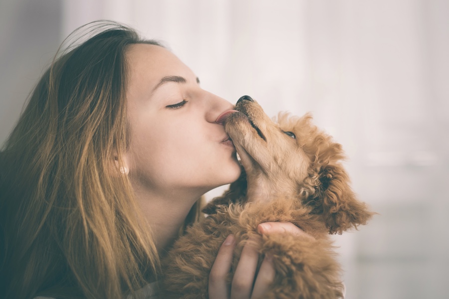 Girl receives a lick of her pet on her face