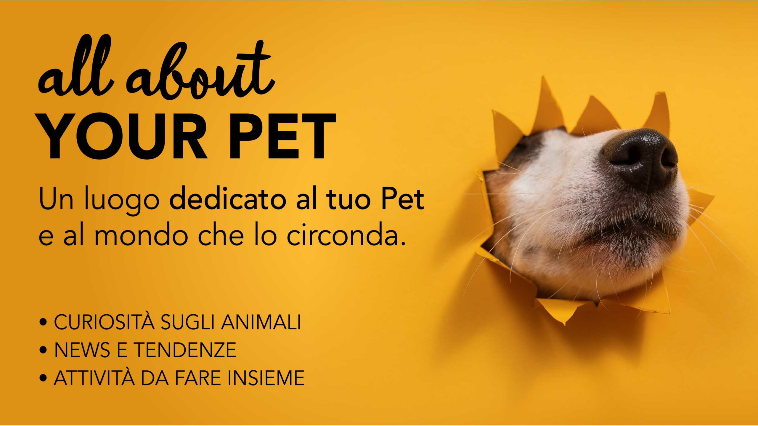 Copertina categoria all about your pet