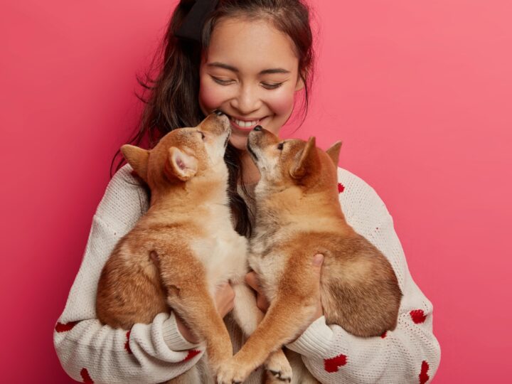 Gli animali hanno sentimenti?