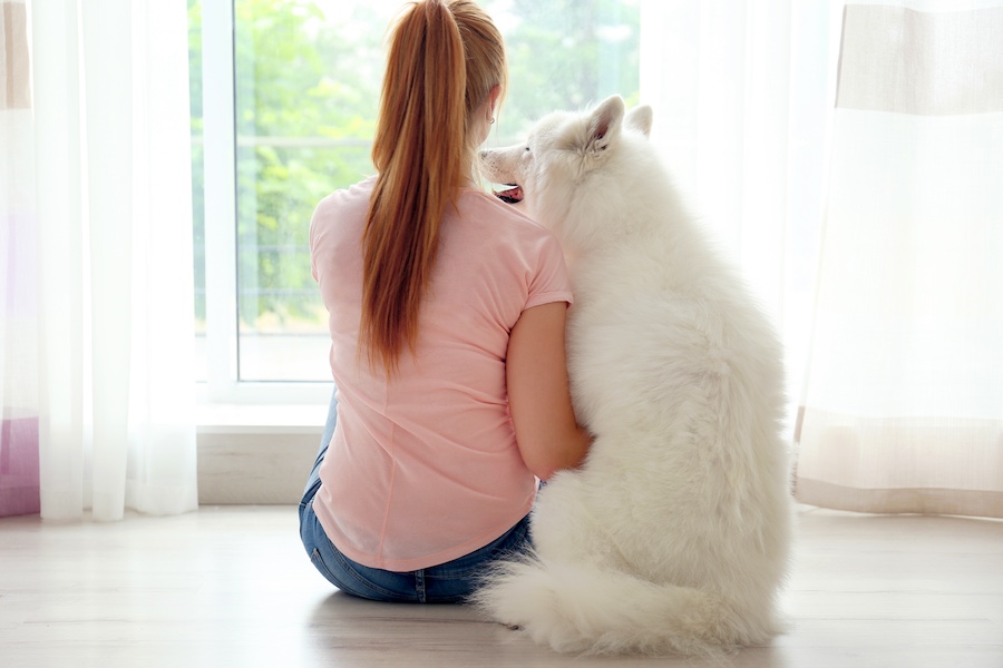 Un cane appoggia il musetto sulla spalla di una ragazza