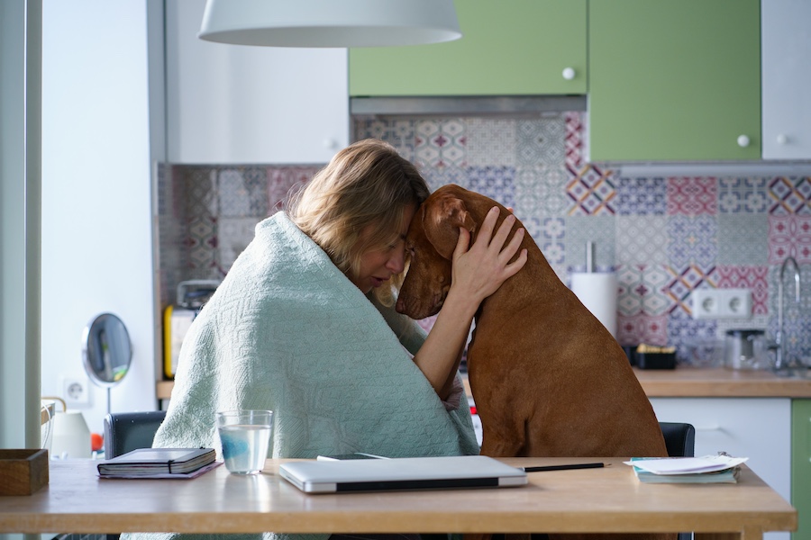 Un tenero abbraccio tra un cane e la sua padrona che mostra che i cani provano sentimenti