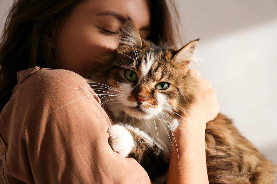 Una ragazza tiene in braccio un gatto che è felice e dimostra che i gatti provano sentimenti