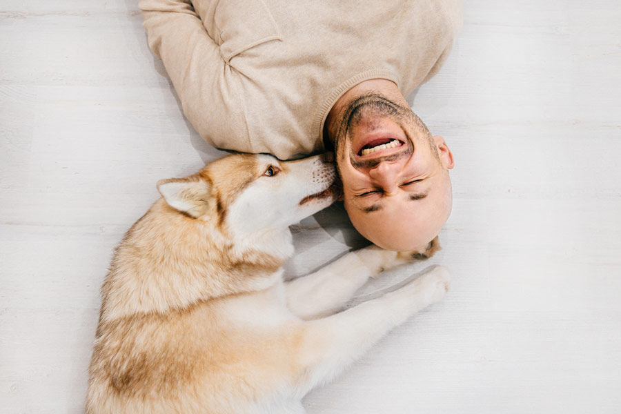 Cane Husky e uomo distesi con le teste vicine