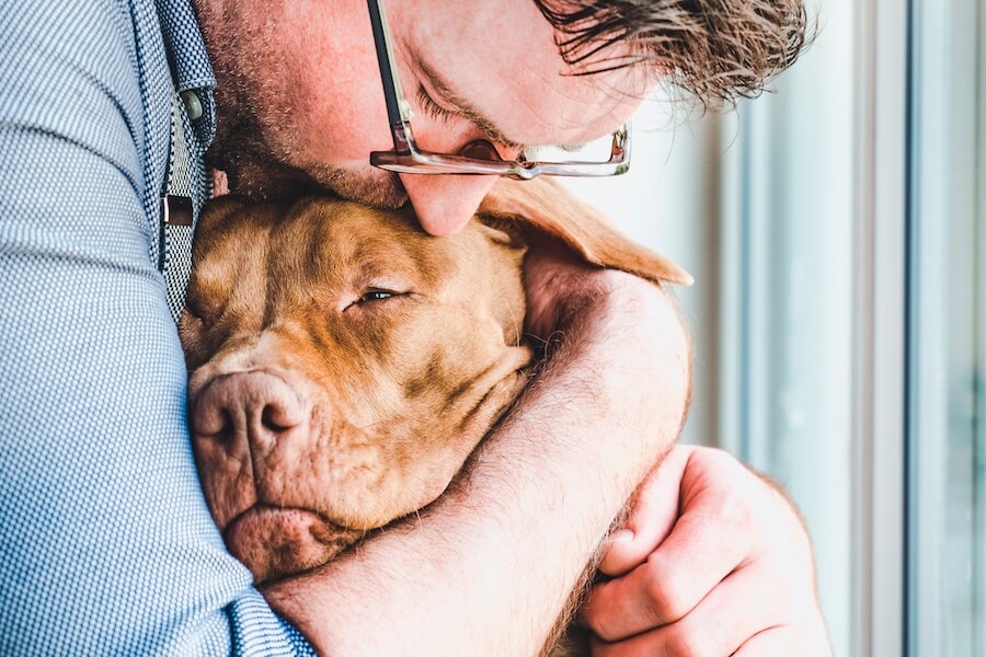 Un uomo abbraccia e stringe forte il suo cane