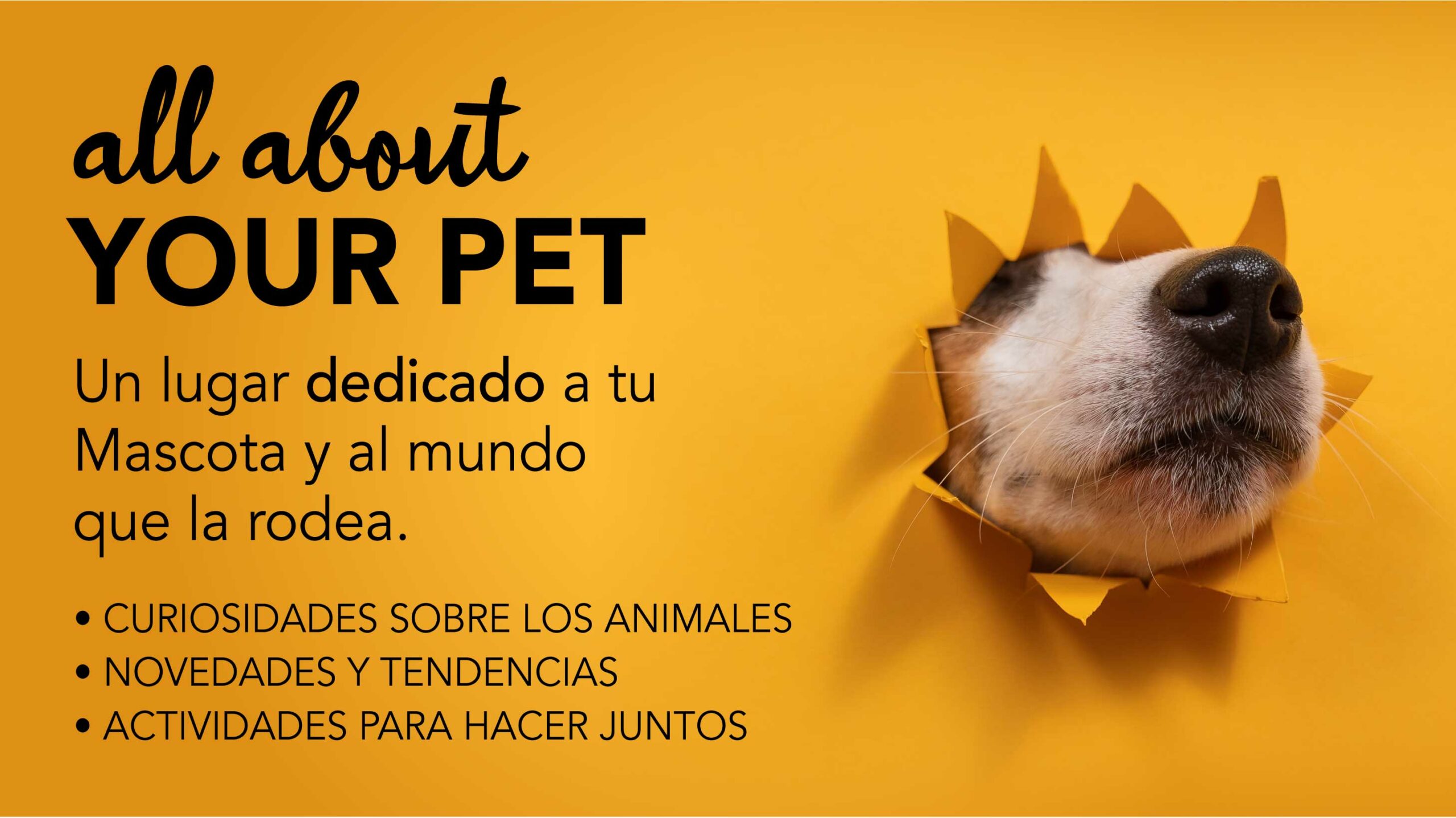 Portada categoría All about your pet 2024