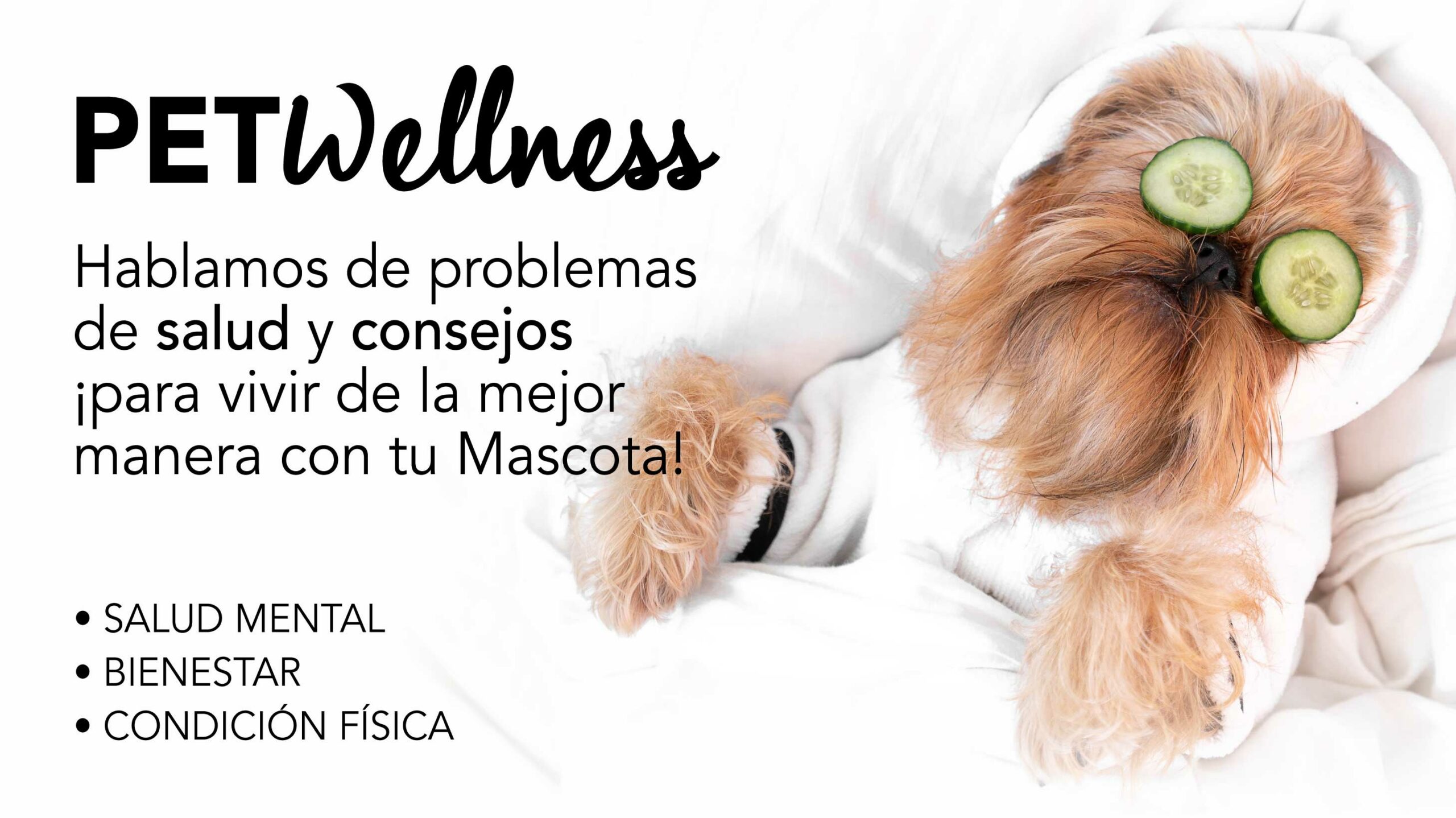 Portada categoría Pet Wellness 2024