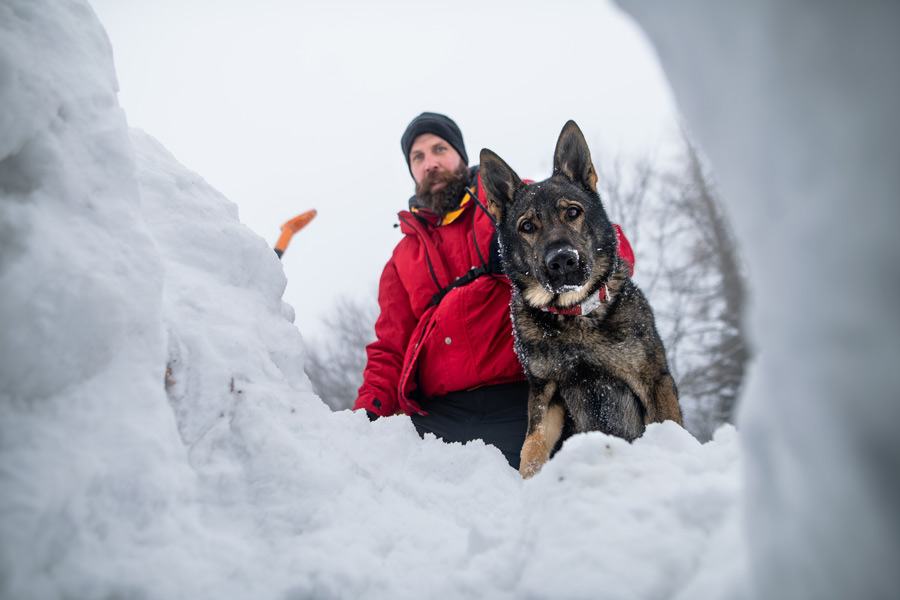 Cane di pastore tedesco con un uomo mentre guarda dentro un buco su un cumulo di neve