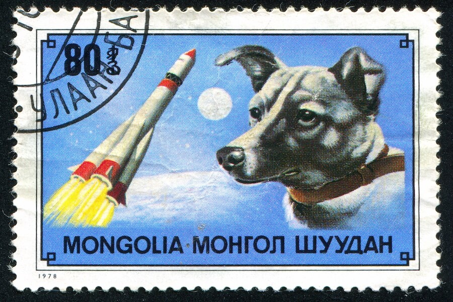Francobollo della Mongolia con Laika primo cane nello spazio