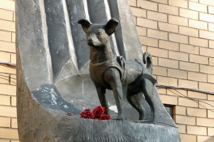 Statua di Laika primo cane nello spazio