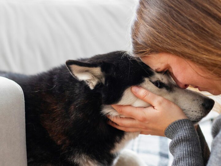 Giornata mondiale della gratitudine: i cani dicono grazie?