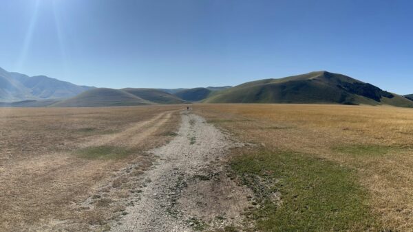 panoramica di un sentiero nel Cammino delle Terre Mutate