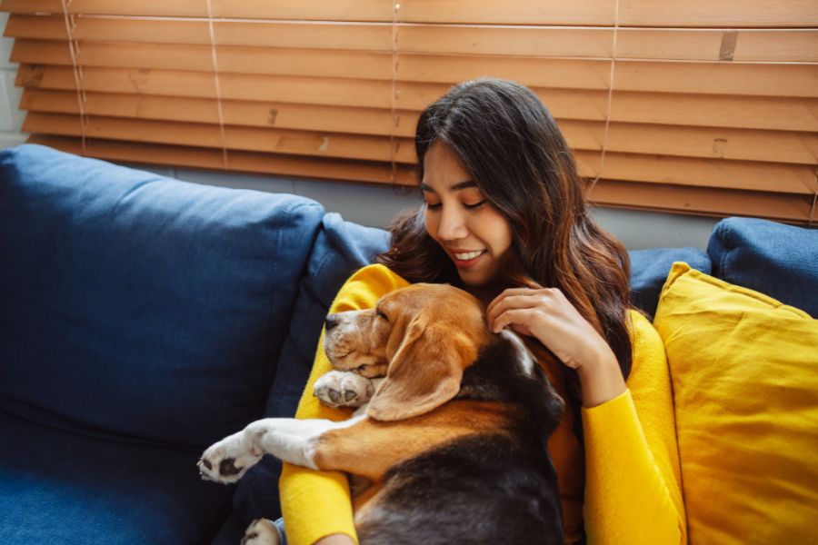 ragazza accarezza cane sul divano