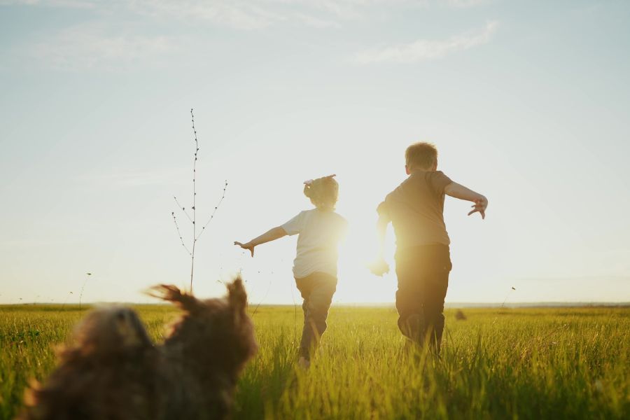 Due persone e un cane corrono su un prato