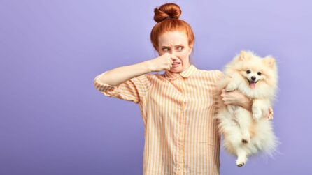 donna si tappa il naso con cane in braccio