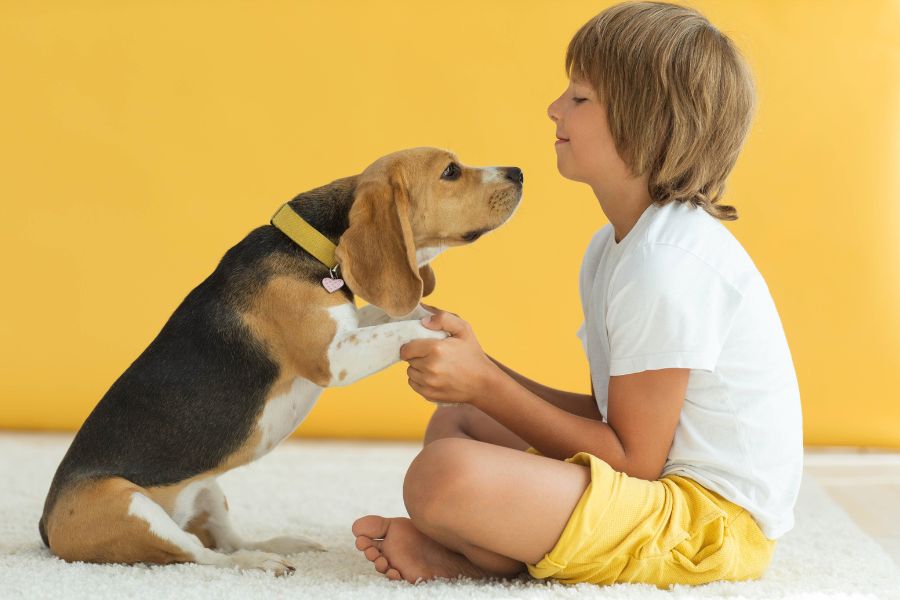 Cane cucciolo gioca con un bambino
